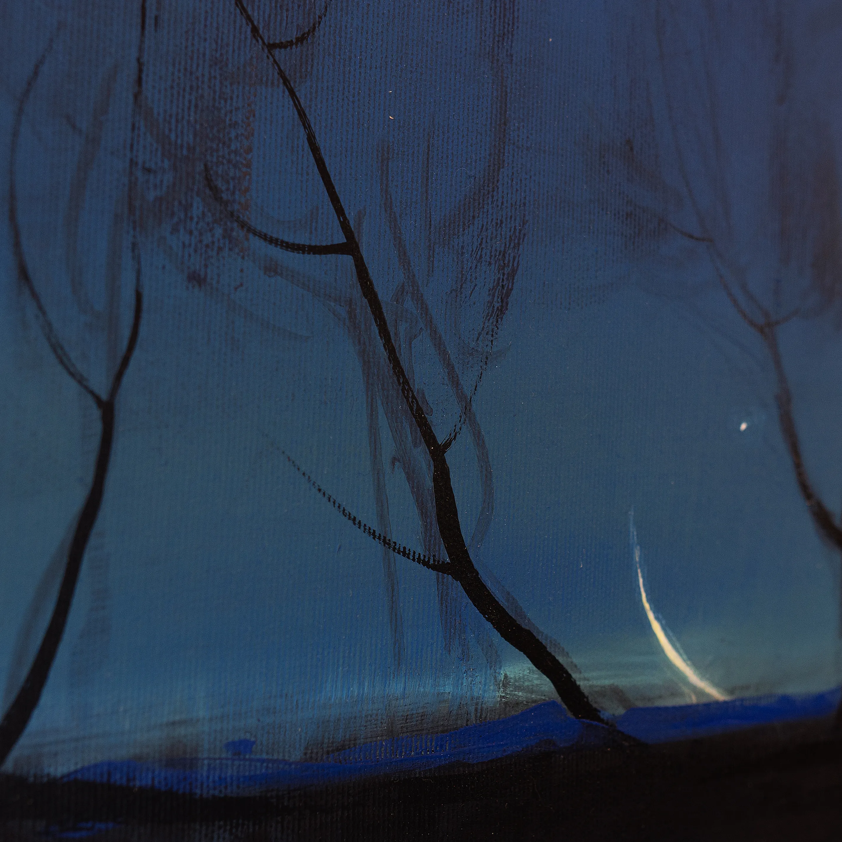 Image of Moon light by Igor Nekraha, size: 30х50, made of Acrylic on canvas, Painting medium, from Kyiv, part of the Acrylics series, priced at $400 Photo 3 of 4.