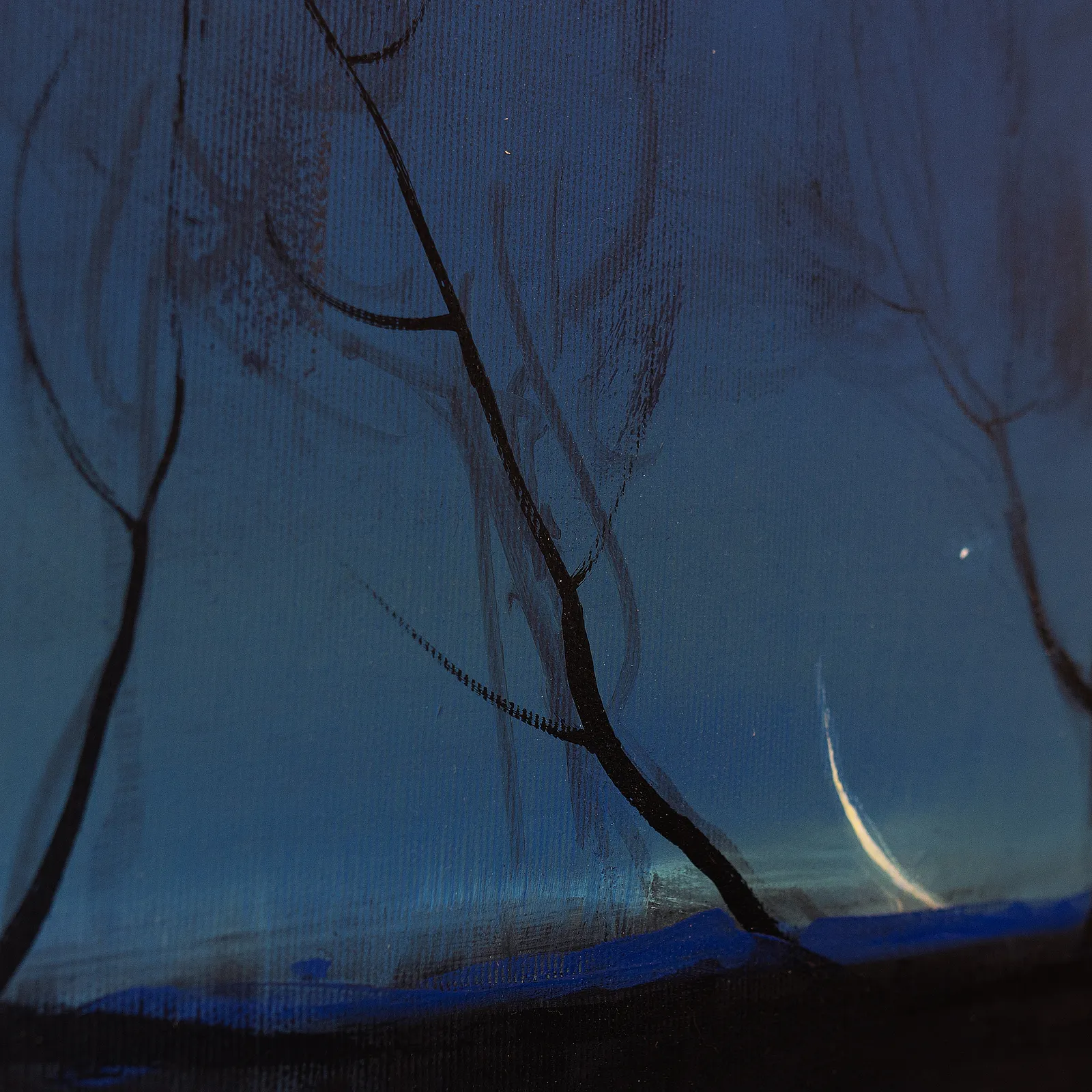 Image of Moon light by Igor Nekraha, size: 30х50, made of Acrylic on canvas, Painting medium, from Kyiv, part of the Acrylics series, priced at $400 Photo 3 of 4.