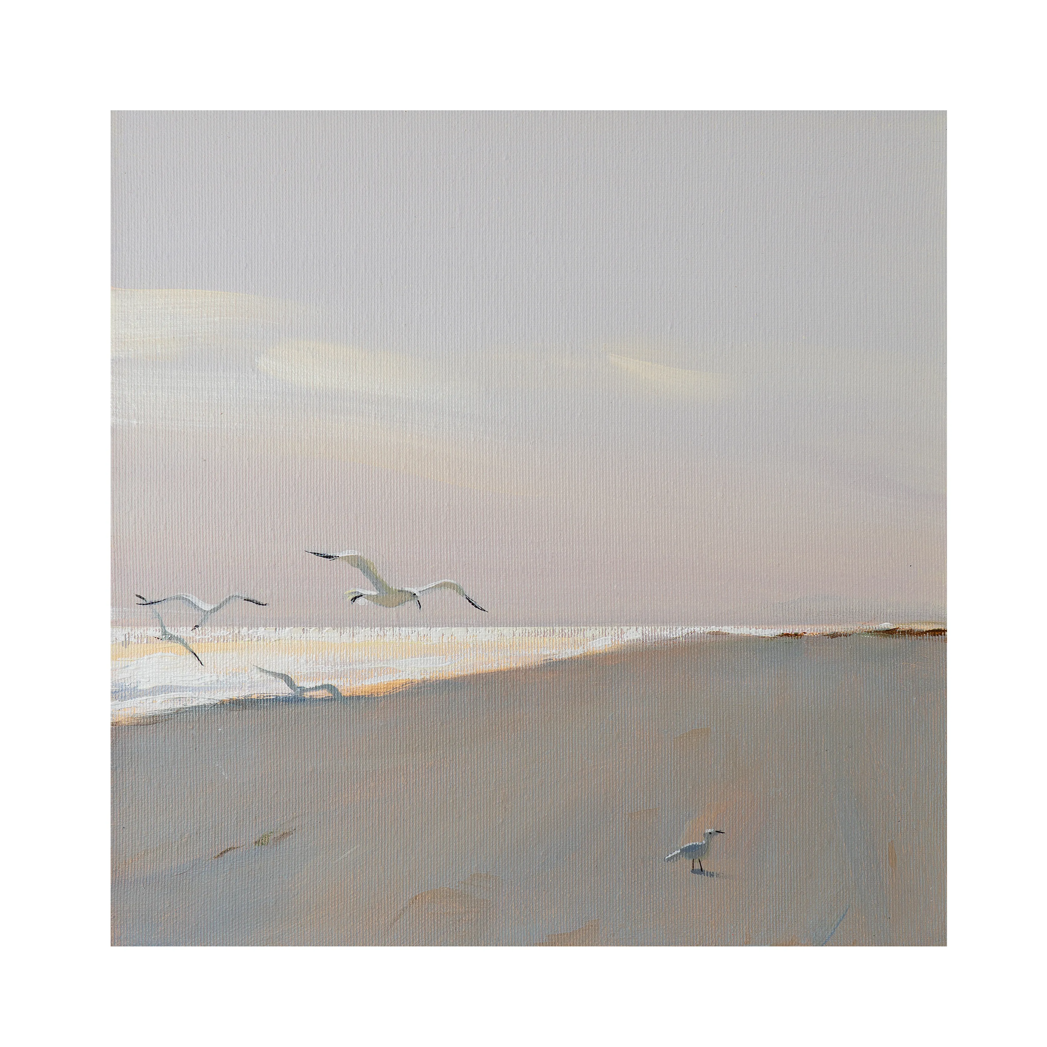 Зображення "The solitary seagull" від Igor Nekraha, розмір: 30х30, матеріали: Acrylic on canvas, медіум: Живопис, місто: Kyiv, серія: Acrylics, ціна: $350 Фото 4 з 4.