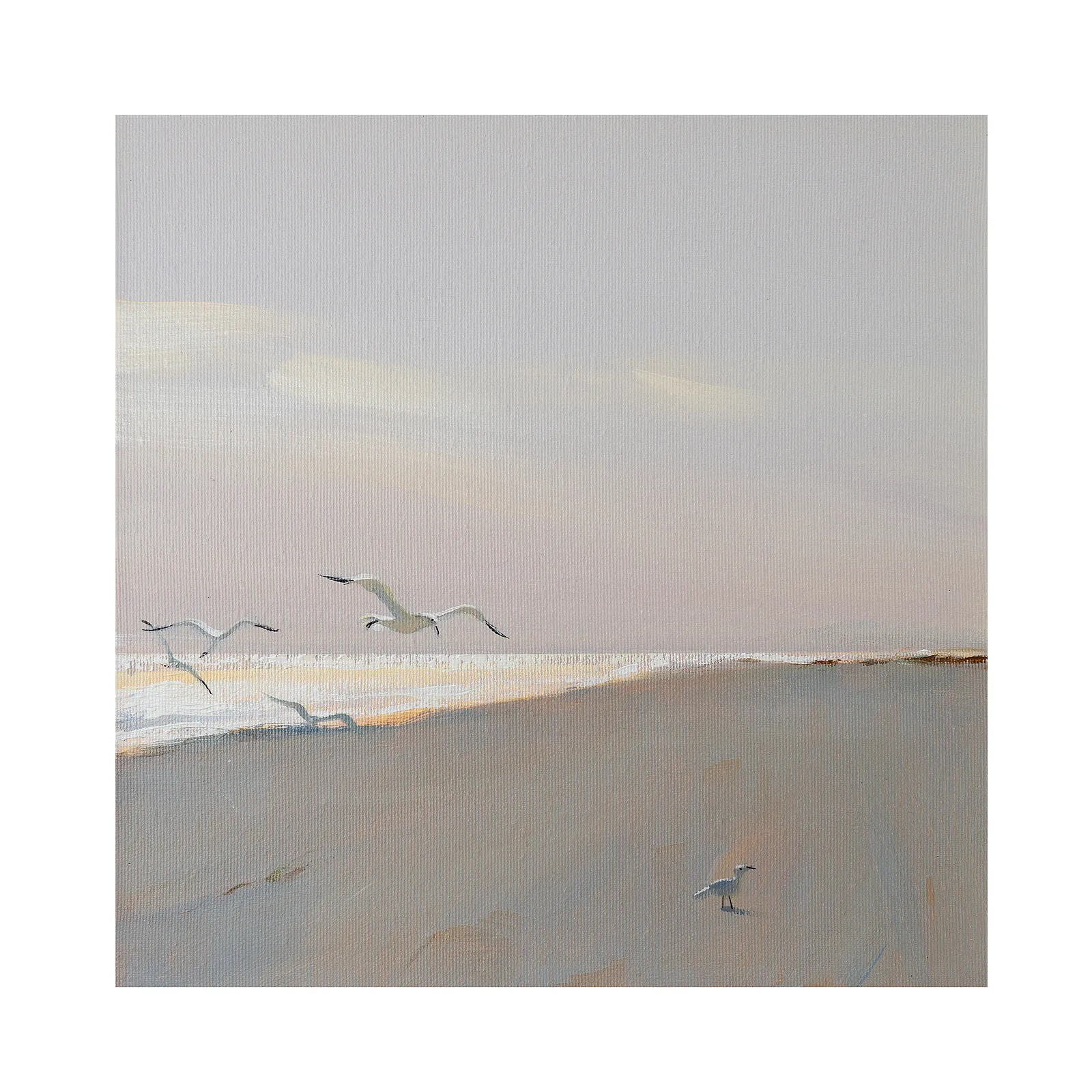 Зображення "The solitary seagull" від Igor Nekraha, розмір: 30х30, матеріали: Acrylic on canvas, медіум: Живопис, місто: Kyiv, серія: Acrylics, ціна: $350 Фото 4 з 4.