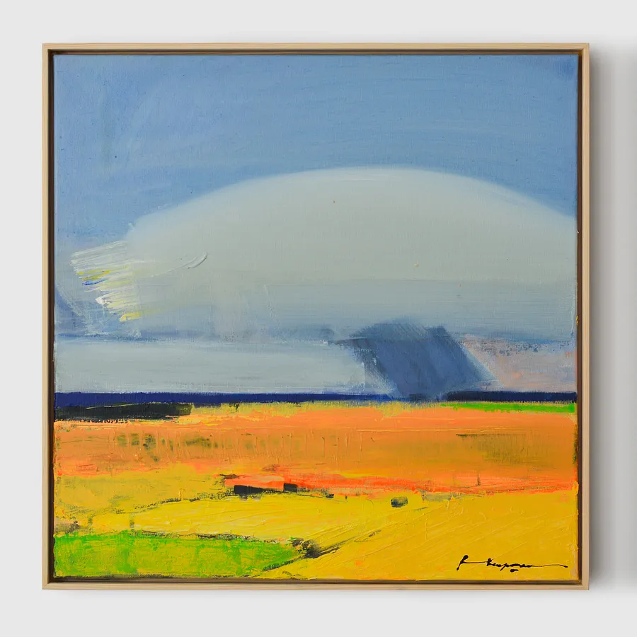 Rain over fields (2026)