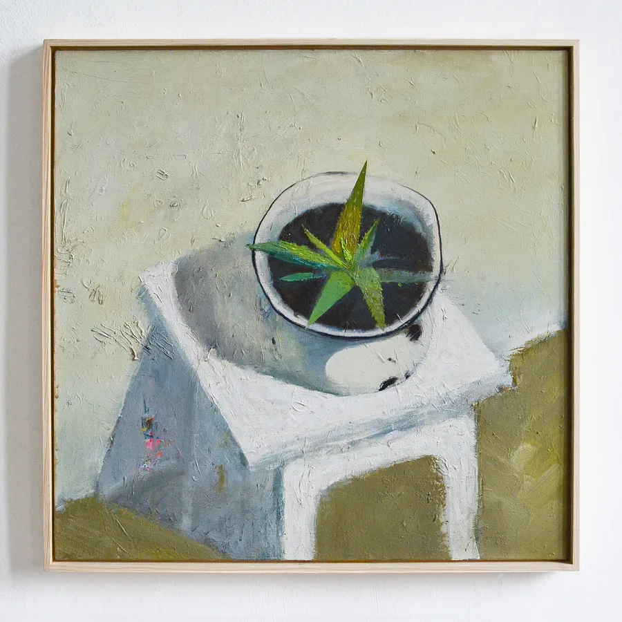 Aloe (2025)