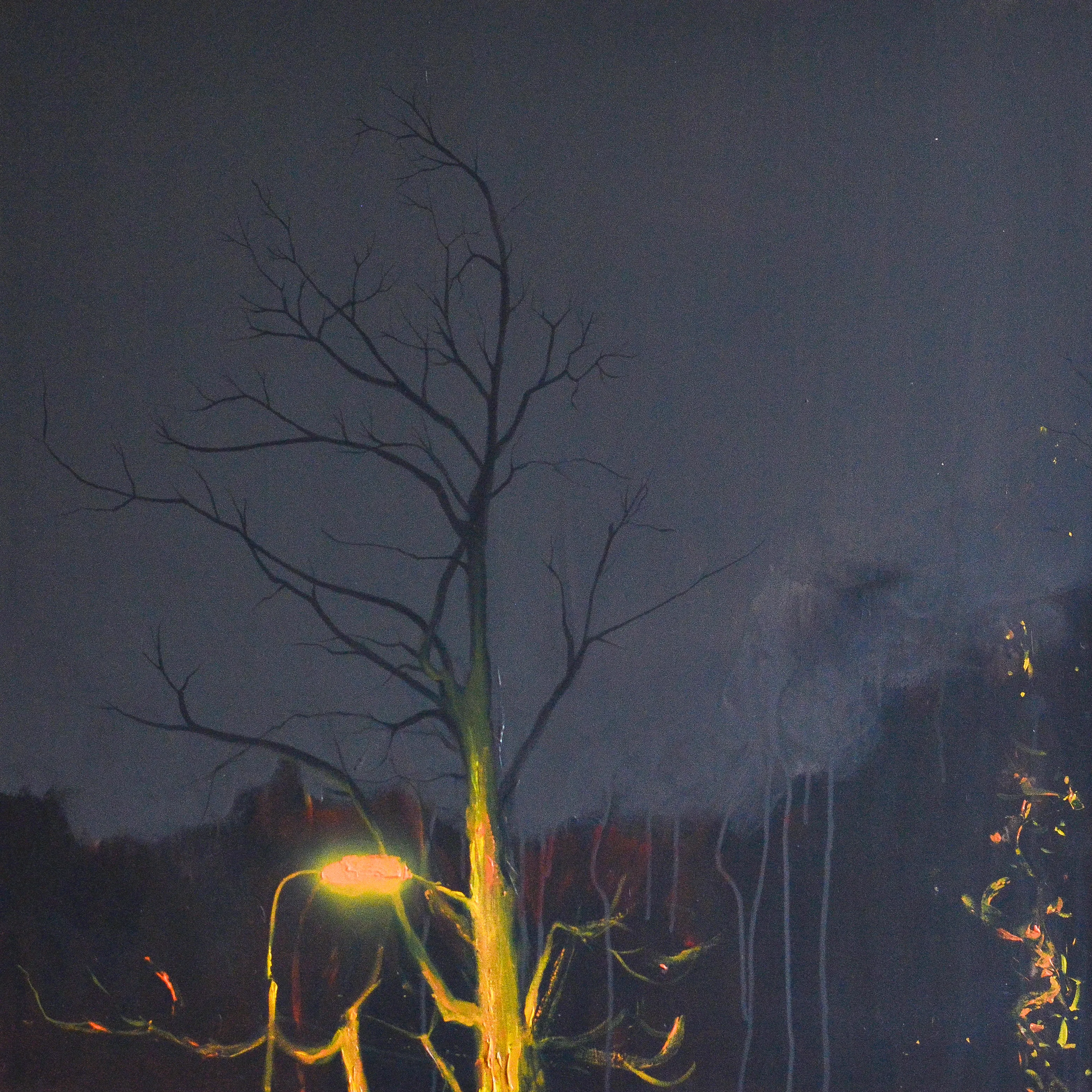 Image of The lantern and the tree by Igor Nekraha, size: 100x100, made of Acrylic on canvas, Painting medium, priced at $1500 Photo 2 of 2.
