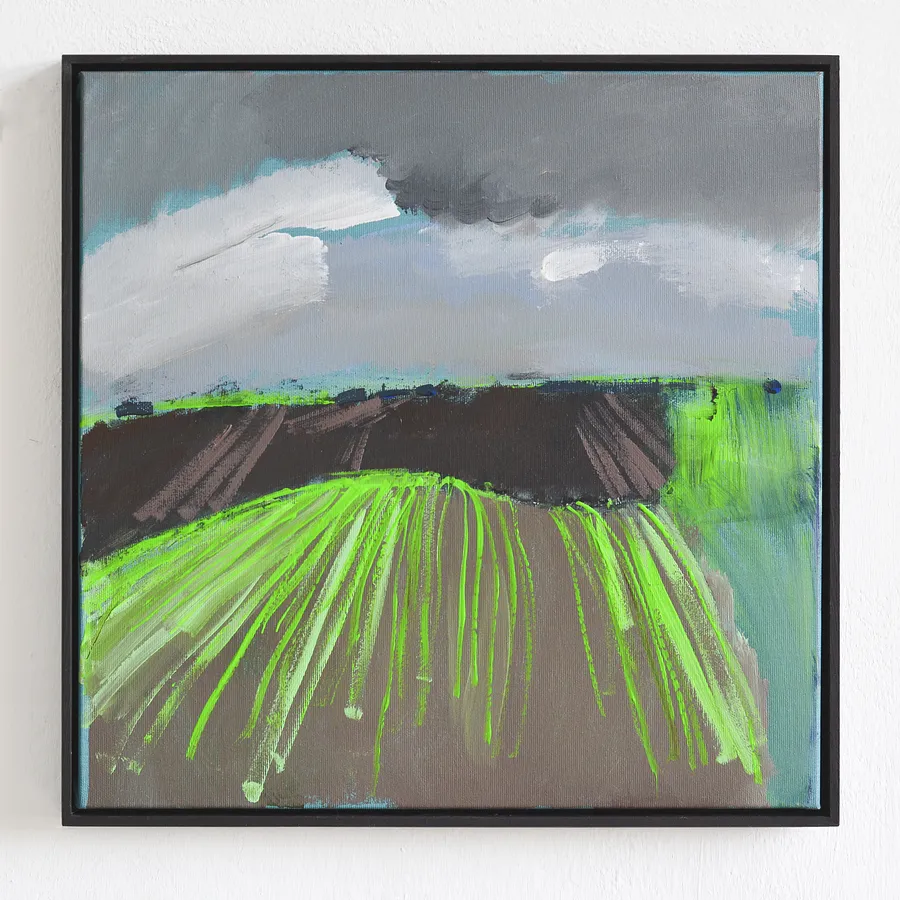 Fields turn green (2024)