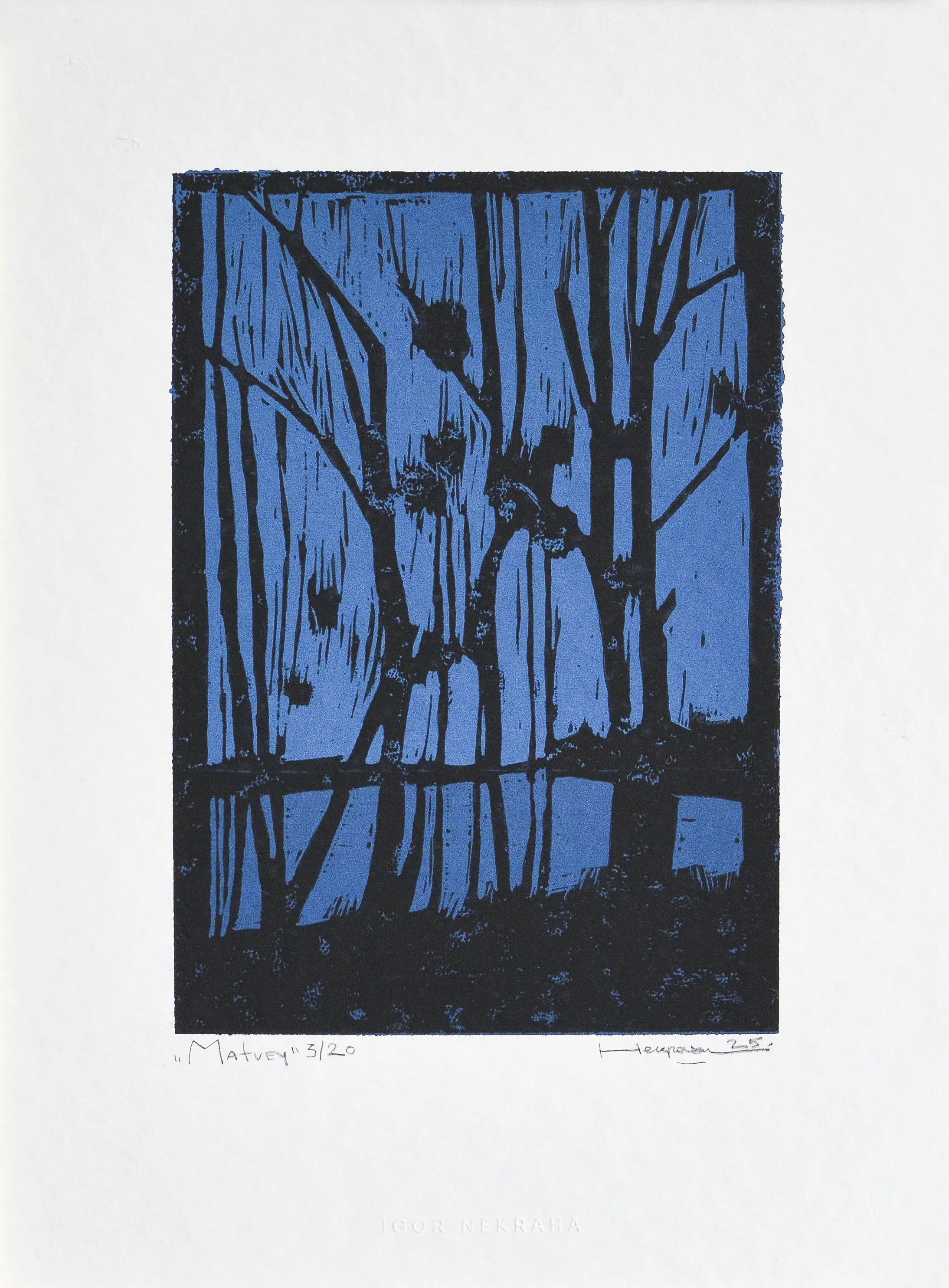 Image of Matvey 3/20 by Igor Nekraha, size: 30x20, made of Linocut, Graphics medium, priced at $150 Photo 2 of 3.