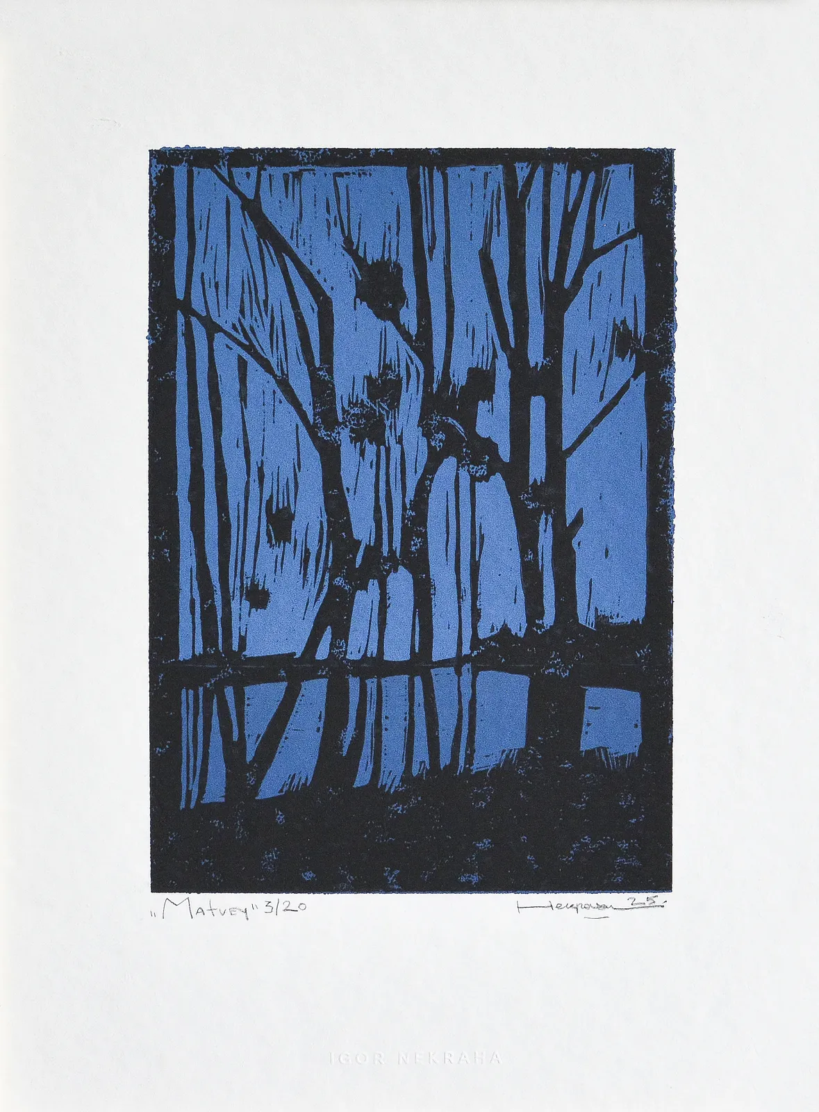 Image of Matvey 3/20 by Igor Nekraha, size: 30x20, made of Linocut, Graphics medium, priced at $150 Photo 2 of 3.