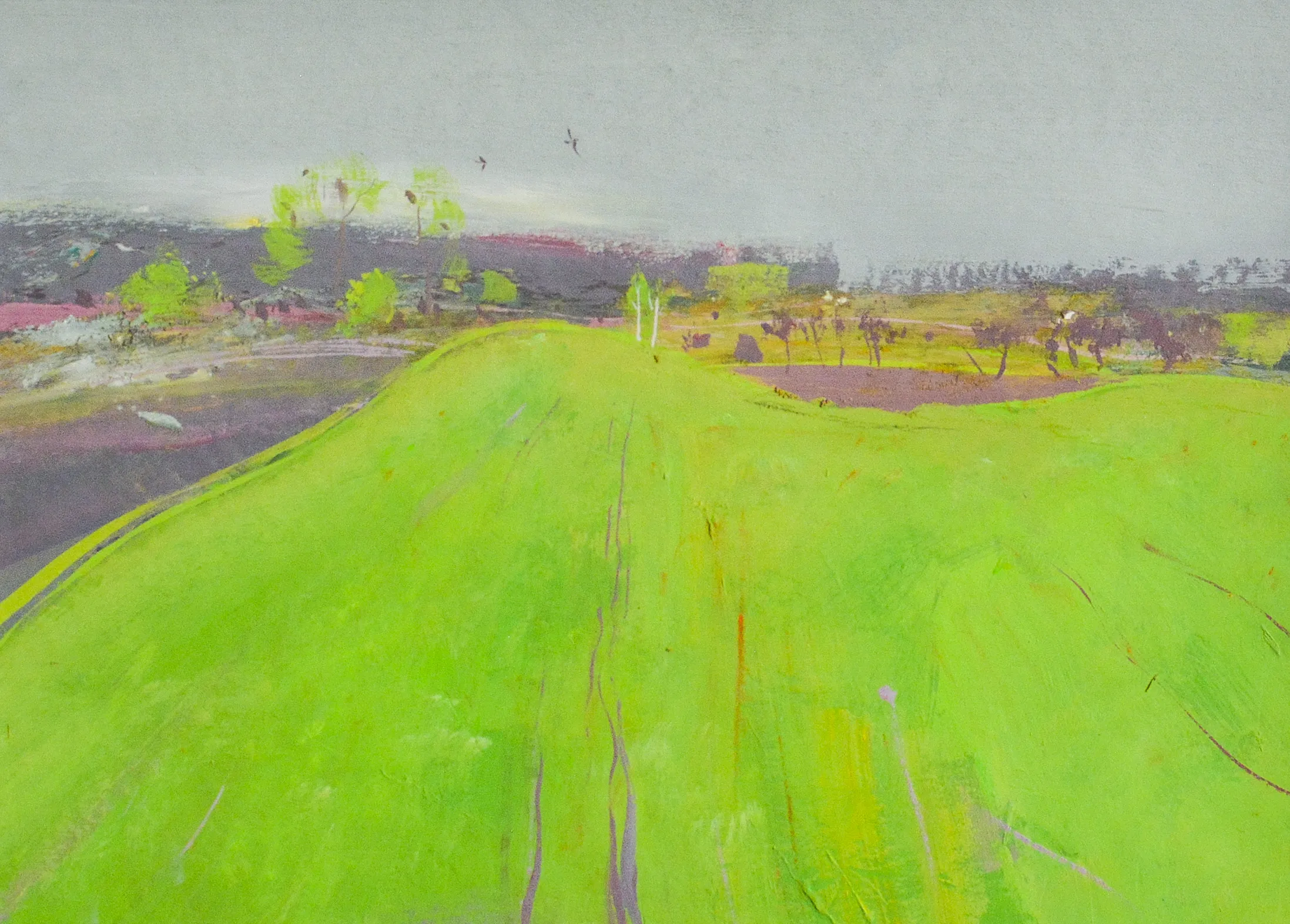 Image of Green field by Igor Nekraha, size: 20x30, made of Gouache on paper, Graphics medium, priced at $350 Photo 2 of 4.