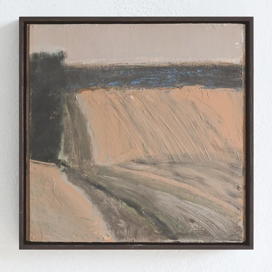 Brown field (2025)