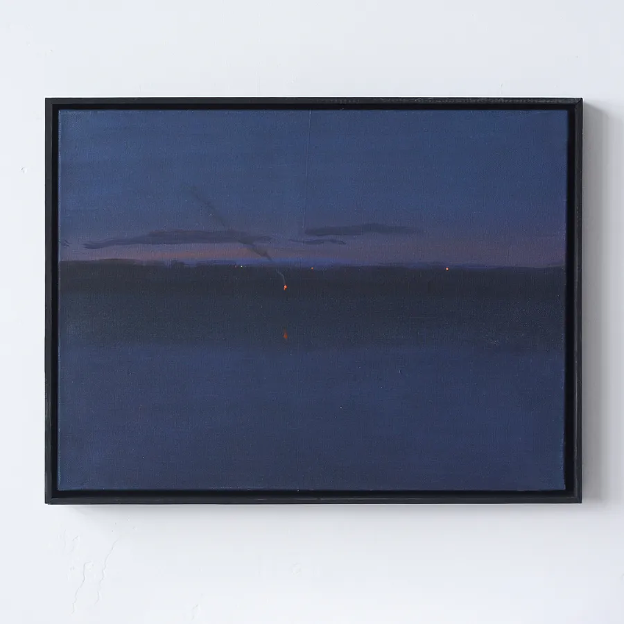  Kodyma river. Night (2019)